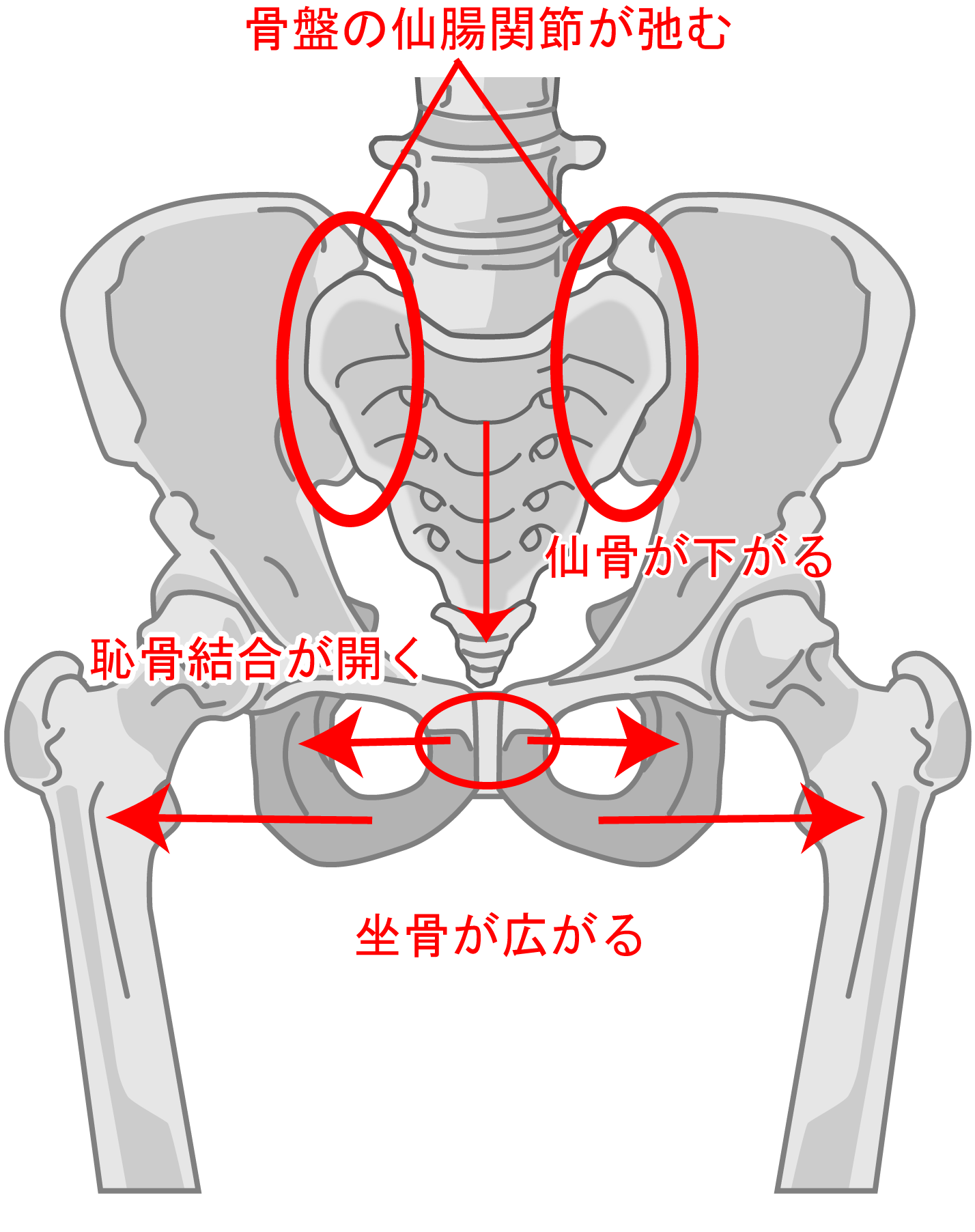 【産後の腰痛が収まらない？骨盤の歪みが原因かも】南浦和で骨盤矯正するならゼロスポで 画像